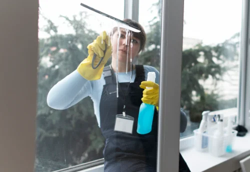 Nettoyage de vitres intérieures et extérieures à Saint-Laurent-de-Carnols